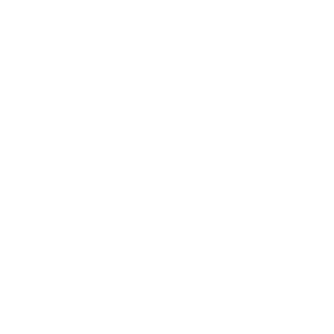 Bridge Brazil