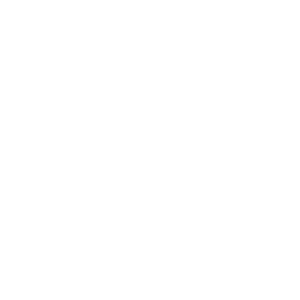 Digital Data Experts