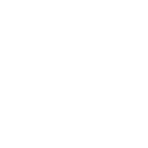 Setec lerm