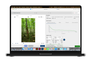 Luciole des Bois achat de bois sur pied vente de bois sur pied